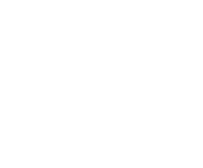 Evolution games at Crypto Leo Casino